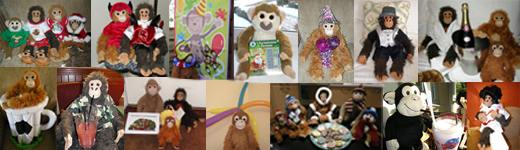 Special Events with The Travelling Monkeys