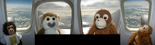 Travelling with The Travelling Monkeys